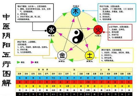 金生水|金生水（五行对应关系）